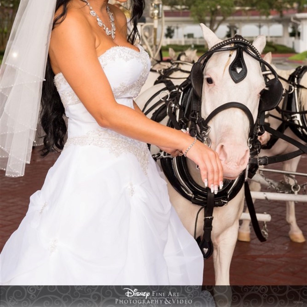 Swarovski Crystal Wedding Dress Private Label by G - Picture 3 of 12